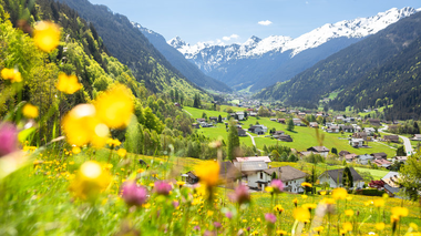 © Stefan Kothenr Photography