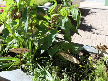 © Roland Fritsch / Montafon