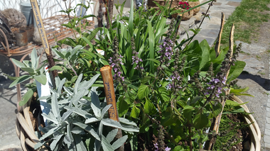 © Roland Fritsch / Montafon