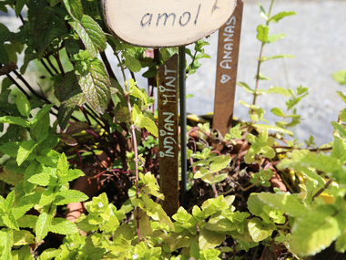 © Roland Fritsch / Montafon