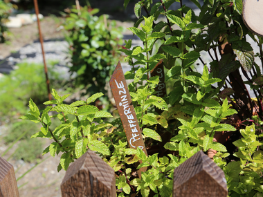 © Roland Fritsch / Montafon
