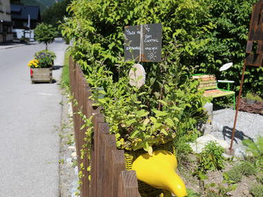 © Roland Fritsch / Montafon