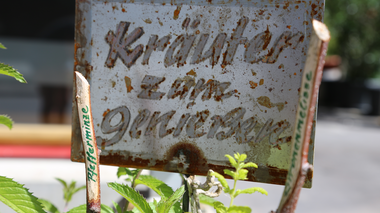 © Roland Fritsch / Montafon