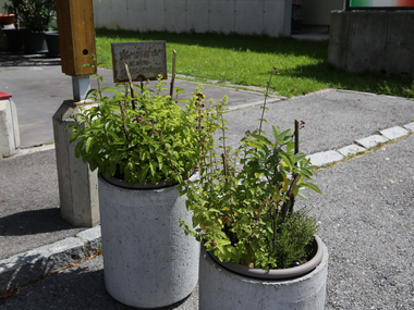 © Roland Fritsch / Montafon