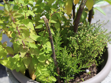 © Roland Fritsch / Montafon