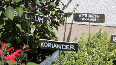 © Elisa Schöllhorn / Montafon