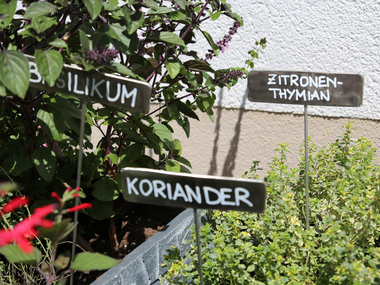 © Elisa Schöllhorn / Montafon