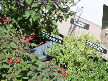 © Elisa Schöllhorn / Montafon