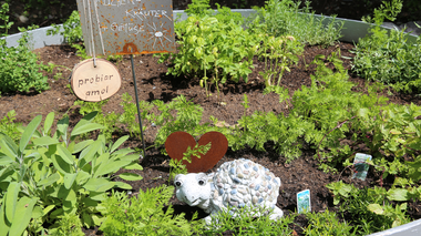 © Roland Fritsch / Montafon