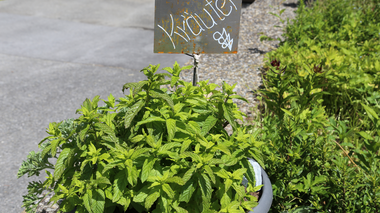 © Roland Fritsch / Montafon