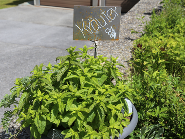 © Roland Fritsch / Montafon