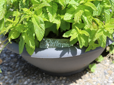 © Roland Fritsch / Montafon