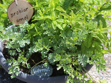 © Roland Fritsch / Montafon