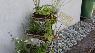 © Roland Fritsch / Montafon