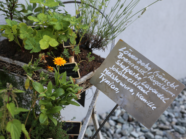 © Roland Fritsch / Montafon