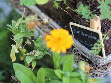 © Roland Fritsch / Montafon