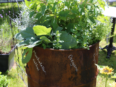 © Roland Fritsch / Montafon