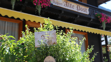 © Roland Fritsch / Montafon