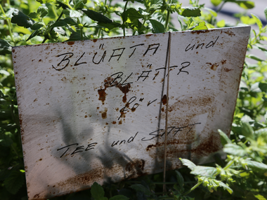 © Roland Fritsch / Montafon