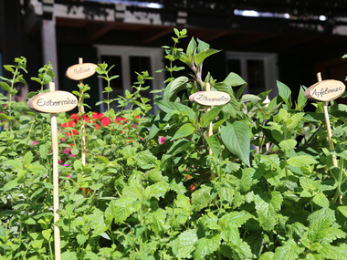 © Roland Fritsch / Montafon