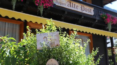 © Roland Fritsch / Montafon