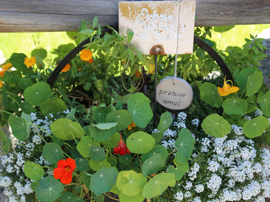 © Roland Fritsch / Montafon