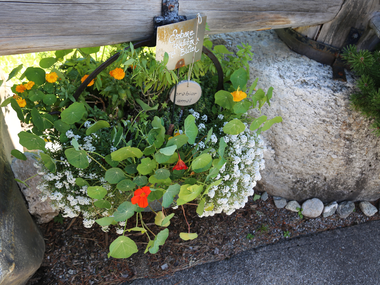 © Roland Fritsch / Montafon