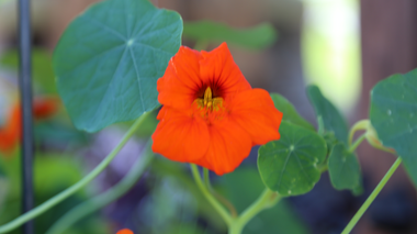 © Roland Fritsch / Montafon