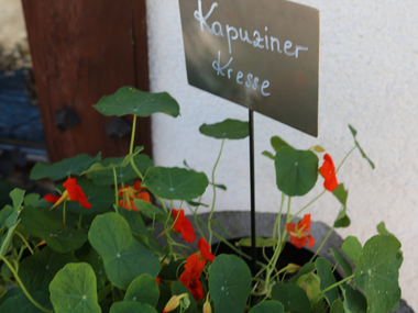 © Roland Fritsch / Montafon