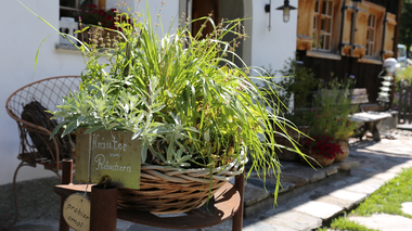 © Elisa Schöllhorn / Montafon