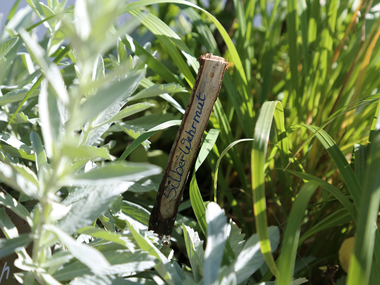 © Elisa Schöllhorn / Montafon