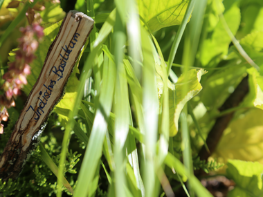 © Elisa Schöllhorn / Montafon