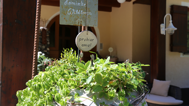 © Roland Fritsch / Montafon