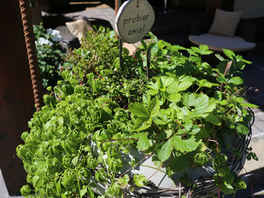 © Roland Fritsch / Montafon