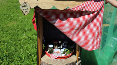 © Roland Fritsch / Montafon