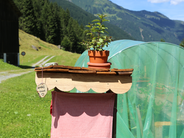 © Roland Fritsch / Montafon