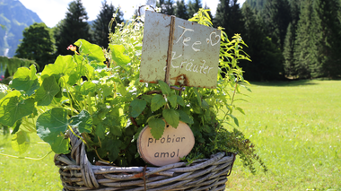 © Roland Fritsch / Montafon