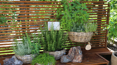 © Roland Fritsch / Montafon