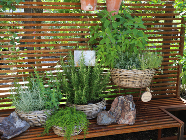 © Roland Fritsch / Montafon