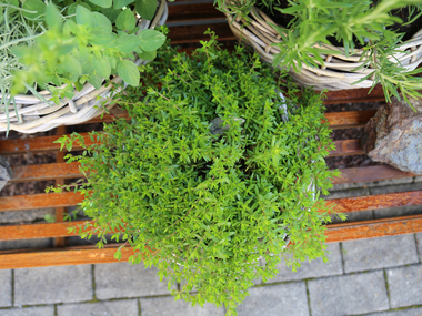 © Roland Fritsch / Montafon