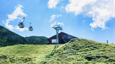 © Saely Patrick Photography