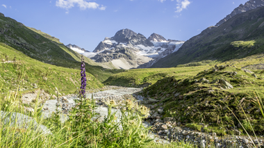 © Elisa Schöllhorn