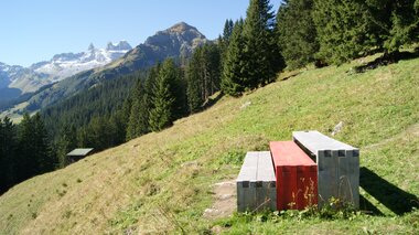 © Roland Fritsch / Montafon