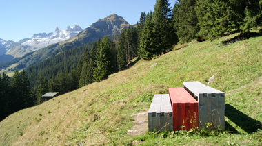 © Roland Fritsch / Montafon