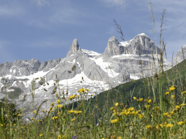 © Elisa Schöllhorn