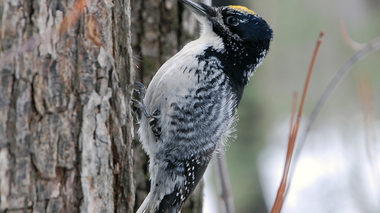 © Christina Wachter / Vorarlberger Illwerke AG