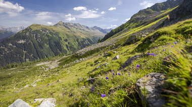 © Stefan Kothner / Montafon