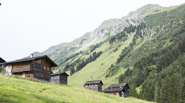 © Elisa Schöllhorn