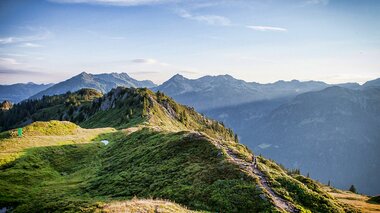 © Daniel Zangerl