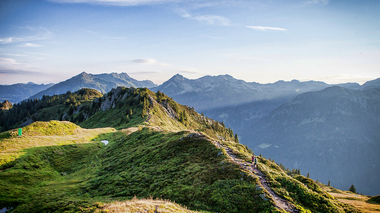 © daniel zangerl photographer